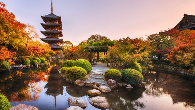 Toji temple Kyoto