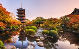 Toji temple Kyoto