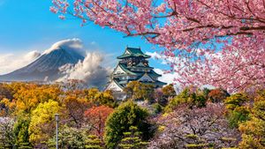 Osaka Schloss mit Fuji