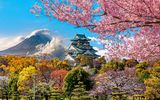 Osaka Schloss mit Fuji