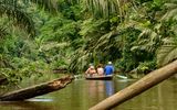 Tortuguero mit dem Boot