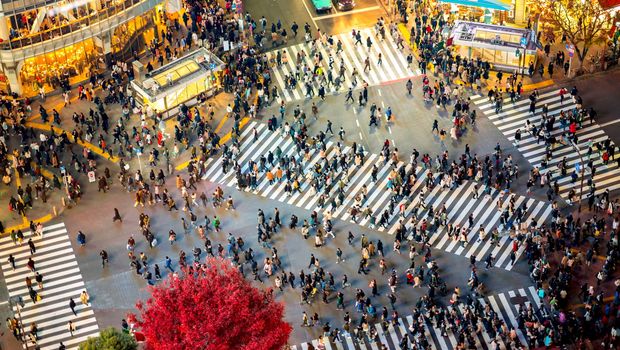 Shibuya Kreuzung