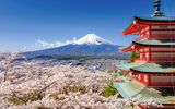 Chureito Pagode und Mt Fuji im Frühjahr mit Kirschblüten