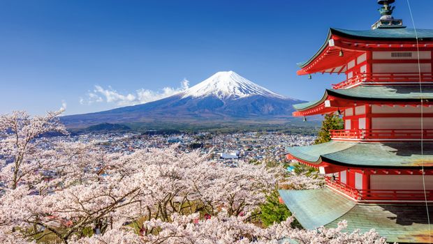 Chureito Pagode und Mt Fuji im Frühjahr mit Kirschblüten